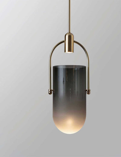 Robinson - Built in LED contemporary round suspended light