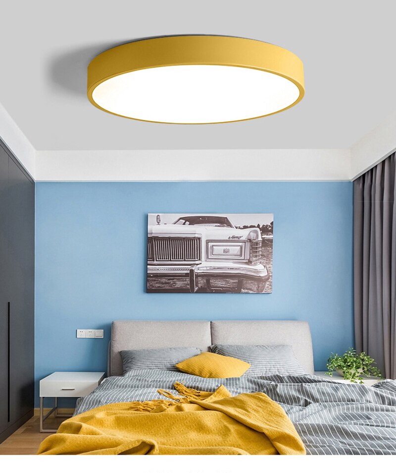 Wilks - Built in LED colorful round ceiling light
