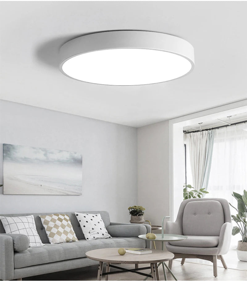 Wilks -Built in LED Modern Ceiling light